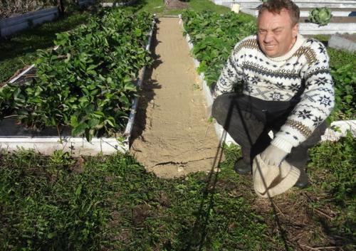 Как сделать, чтобы в проходах трава не росла.