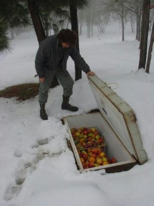 Полезности для дачи 04