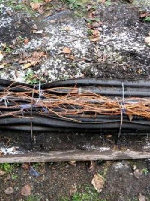 Чем обработать яблони на зиму. Как опрыскивать яблоню и другие плодовые деревья осенью: правила и рекомендации 09 Чем обработать яблони на зиму. Как опрыскивать яблоню и другие плодовые деревья осенью: правила и рекомендации 09