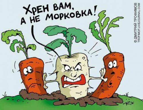 Как вывести хрен с огорода. Как правильно вывести хрен с огорода навсегда: эффективные способы борьбы 02 Как вывести хрен с огорода. Как правильно вывести хрен с огорода навсегда: эффективные способы борьбы 02