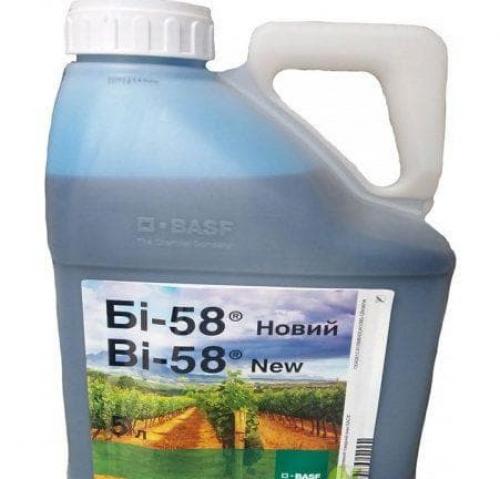 Чем обработать смородину от тли. Препараты