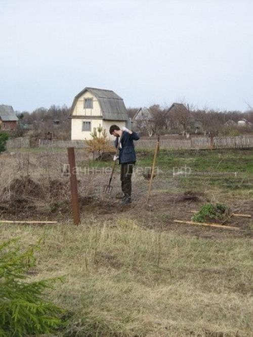 Чем обработать яблони на зиму. Как опрыскивать яблоню и другие плодовые деревья осенью: правила и рекомендации 08 Чем обработать яблони на зиму. Как опрыскивать яблоню и другие плодовые деревья осенью: правила и рекомендации 08