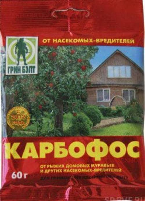 Чем обработать смородину от тли. Препараты