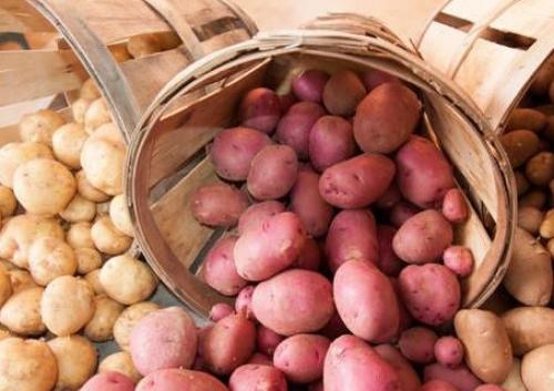 При какой температуре хранить картошку в холодильнике. 3-й вариант — сырая картошка