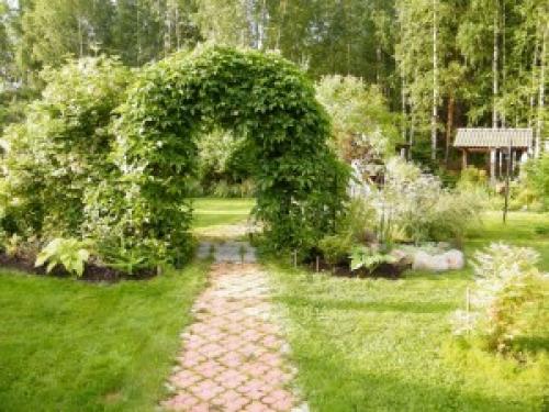 Беседка своими руками из винограда. Сооружение из труб 07