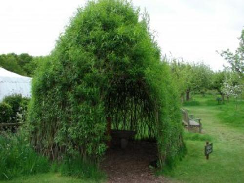 Беседка своими руками из винограда. Сооружение из труб 06