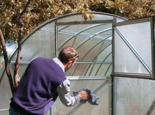 Обеззараживание почвы медным купоросом. Как развести медный купорос для обработки теплицы