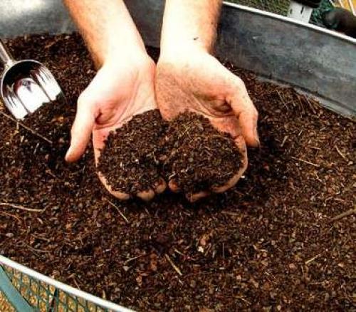 Обеззараживание почвы осенью на даче. Обработка почвы осенью –, что использовать?