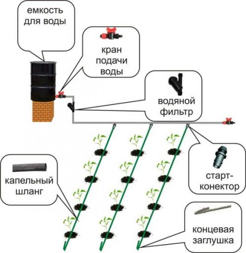 Капельный полив на высоких грядках. Составляющие и варианты компоновки