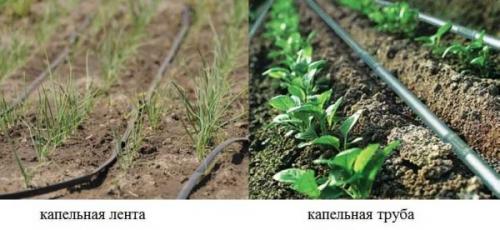 Капельный полив на высоких грядках. Составляющие и варианты компоновки