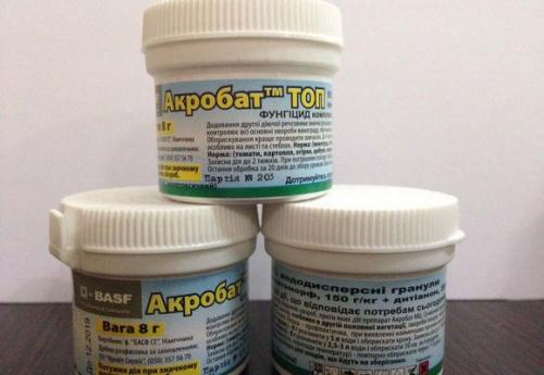 Обработка винограда после обрезки. Препараты защиты