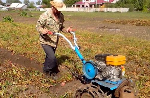 Копаем картошку мотоблоком. Как копать картошку мотоблоком