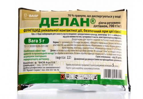 Обработка винограда после обрезки. Препараты защиты