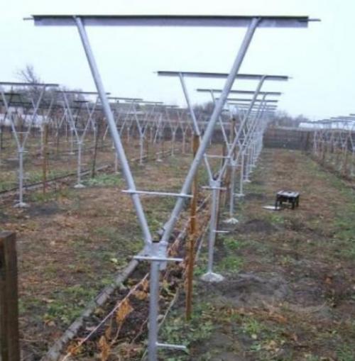 Шпалера для малины из пластиковых труб. 5 типов шпалер