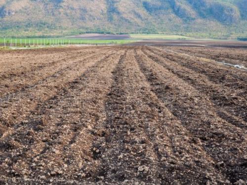 Подготовка почвы под ранний картофель. Подготовка грунта