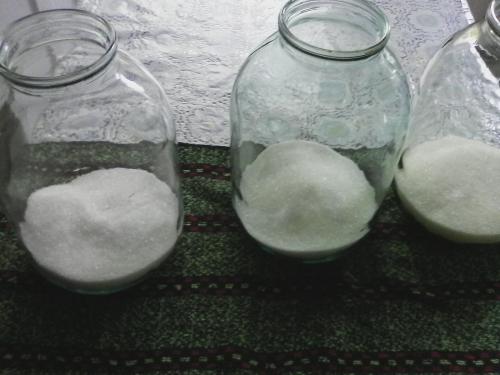 Как сажать вишню войлочную. Посадка войлочной вишни весной: основные моменты 02 Как сажать вишню войлочную. Посадка войлочной вишни весной: основные моменты 02