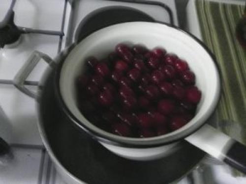 Как сажать вишню войлочную. Посадка войлочной вишни весной: основные моменты 03 Как сажать вишню войлочную. Посадка войлочной вишни весной: основные моменты 03