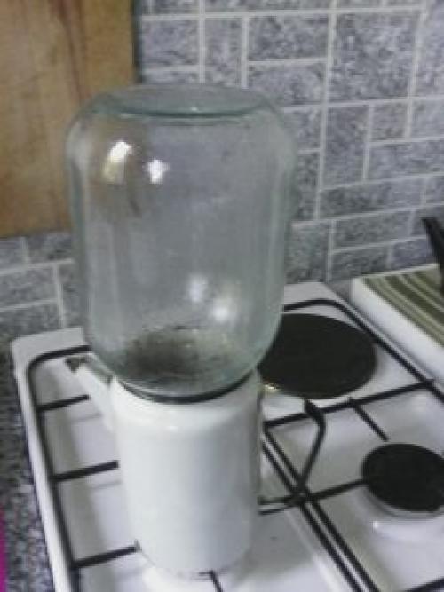 Как сажать вишню войлочную. Посадка войлочной вишни весной: основные моменты 01 Как сажать вишню войлочную. Посадка войлочной вишни весной: основные моменты 01