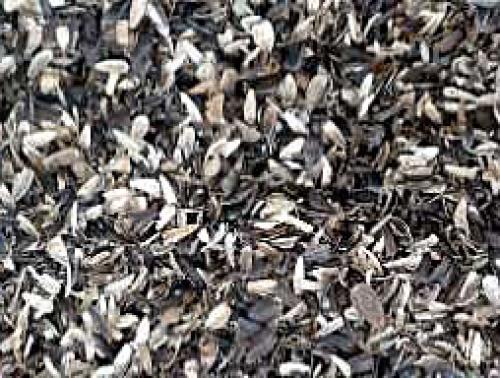 Лузга подсолнечника, как удобрение. Полезные свойства лузги 02