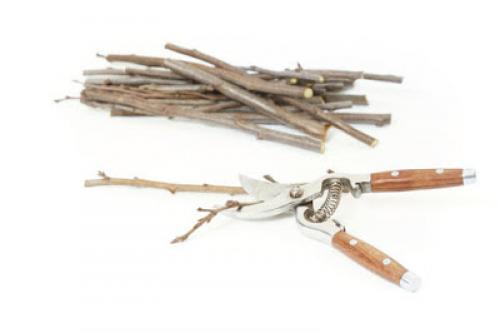 Подготовка черенков винограда к хранению. Где хранить черенки винограда до весны 09 Подготовка черенков винограда к хранению. Где хранить черенки винограда до весны 09