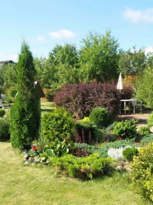 Какие овощи растут на огороде. Планировка посадок 09 Какие овощи растут на огороде. Планировка посадок 09