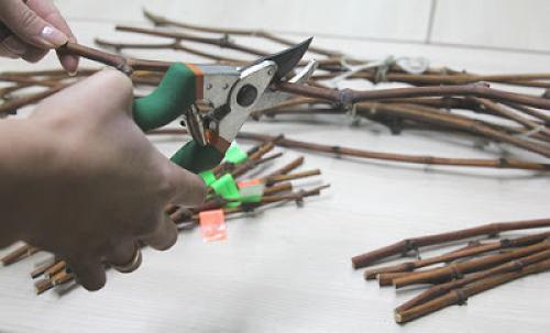 Подготовка черенков винограда к хранению. Где хранить черенки винограда до весны 08 Подготовка черенков винограда к хранению. Где хранить черенки винограда до весны 08