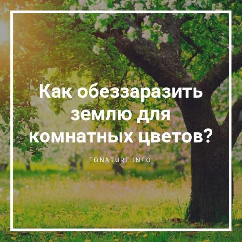 Как обеззаразить землю на огороде. Биологический метод 03