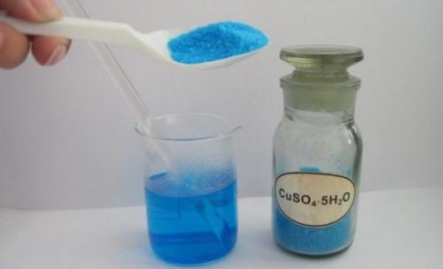 Обеззараживание почвы медным купоросом. Осенняя обработка земли медным купоросом: у вредителей и болезней нет шансов