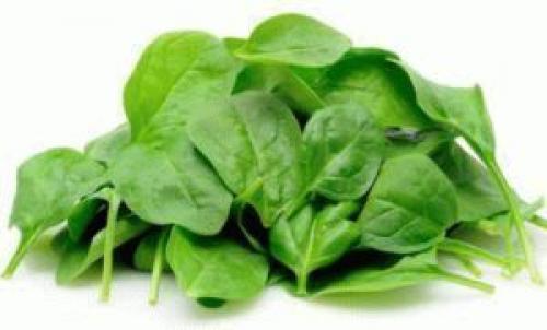 Что быстро растет на огороде. 5 самых быстро зреющих растений для дачи