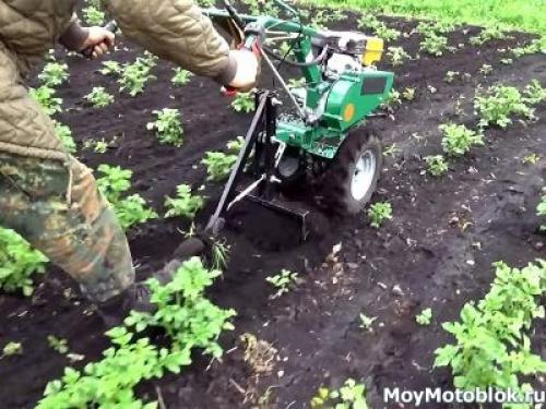Распашка картофеля мотоблоком. Прополка картофеля мотоблоком