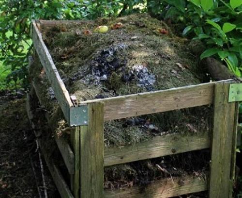 Обеззараживание почвы от грибковых инфекций. Агротехнический метод