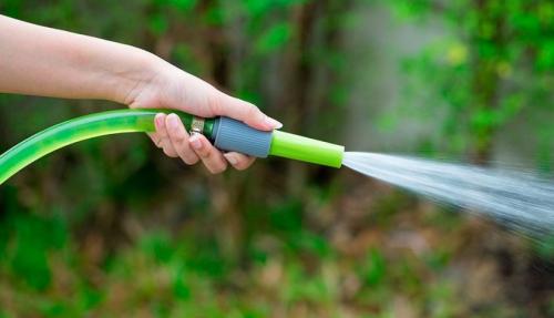 Можно ли поливать капусту сверху. Когда и как часто поливать капусту