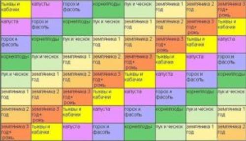Что после чего можно сажать таблица. Таблица севооборота культур на огороде —, что после чего сажать