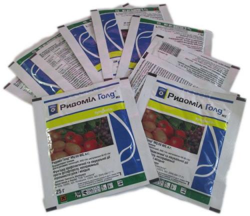 Обработка винограда весной. В период распускания почек и формирования листьев