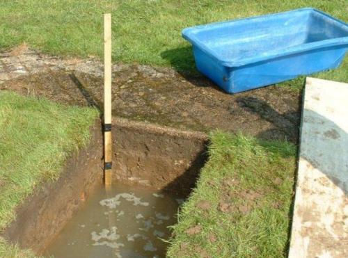 Как сажать яблони если близко грунтовые воды. Посадка яблонь при высоком уровне грунтовых вод