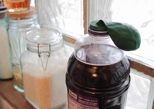 Виноград не вызрел, что из него можно сделать. Приготовление домашнего вина из сока винограда