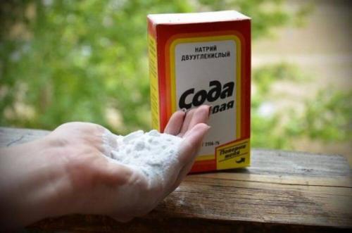 Гусеницы на капусте, как бороться. Народные средства для борьбы с гусеницами на капусте