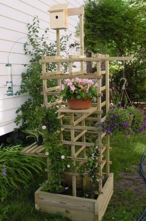 Шпалера - стильное украшение сада 01