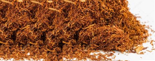 Когда убирать табак и как его сушить от а до я. Как правильно сушить табак, чтобы сохранить его вкус? Полезно знать!