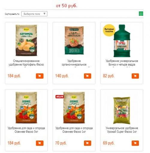 Виноград в ноябре: подзимние мероприятия