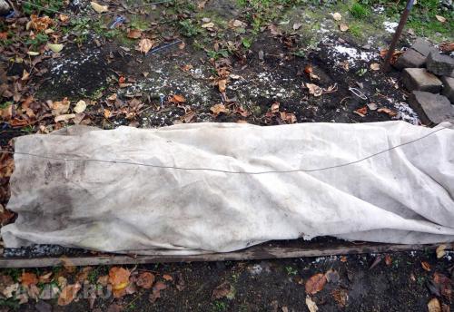 Как ухаживать виноград осенью. Полив, рыхление и подкормка 06 Как ухаживать виноград осенью. Полив, рыхление и подкормка 06