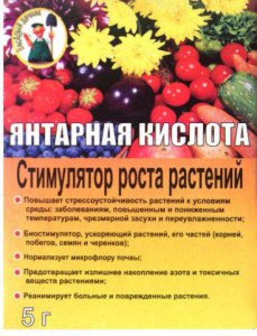 Янтарная кислота для томатов и перцев. Вся правда о применении янтарной кислоты для помидоров: описание средства и правила работы с ним