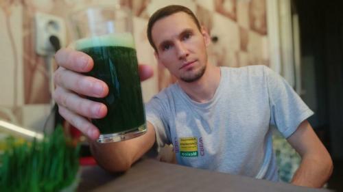 Микрозелень, как вырастить. Микрозелень пшеницы от всех болезней: как вырастить и употреблять