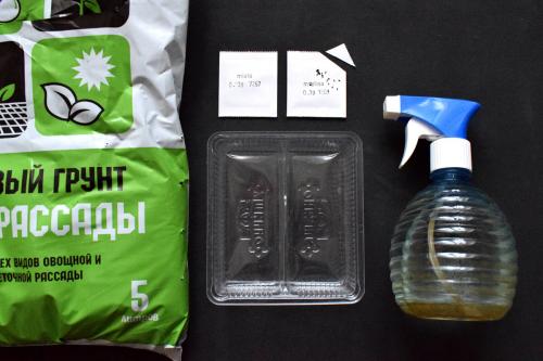 Как вырастить микрозелень гороха. Как вырастить микрозелень в домашних условиях