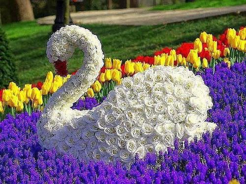 Цветочные лебеди 02