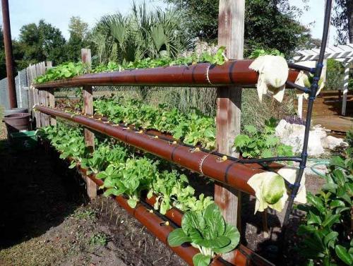 Вертикальное озеленение. Идеи 02