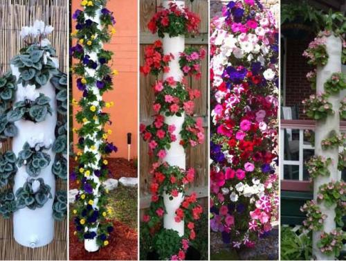 Вертикальное озеленение. Идеи 06