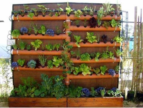 Вертикальное озеленение. Идеи 04