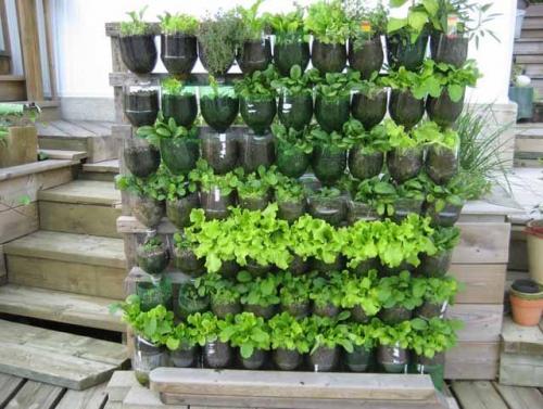 Вертикальное озеленение. Идеи 03
