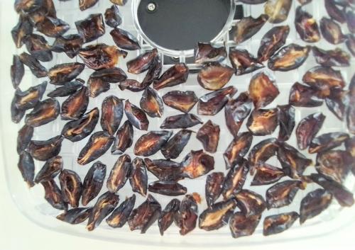 Как сушить яблоки в сушилке супра. Как я сушила сливы в сушилке. Мой отзыв о сушке для фруктов